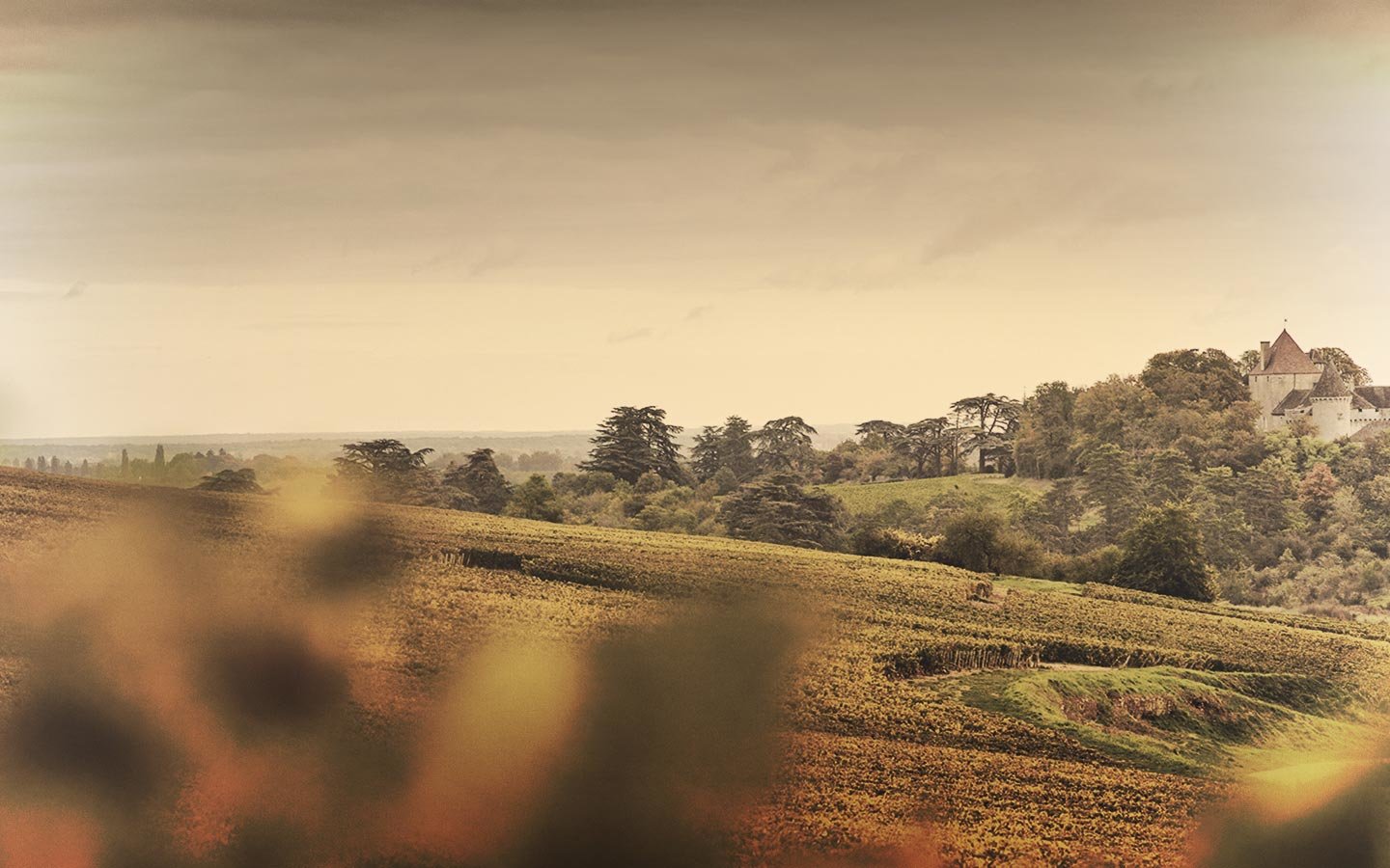 Domaine Michel Briday
