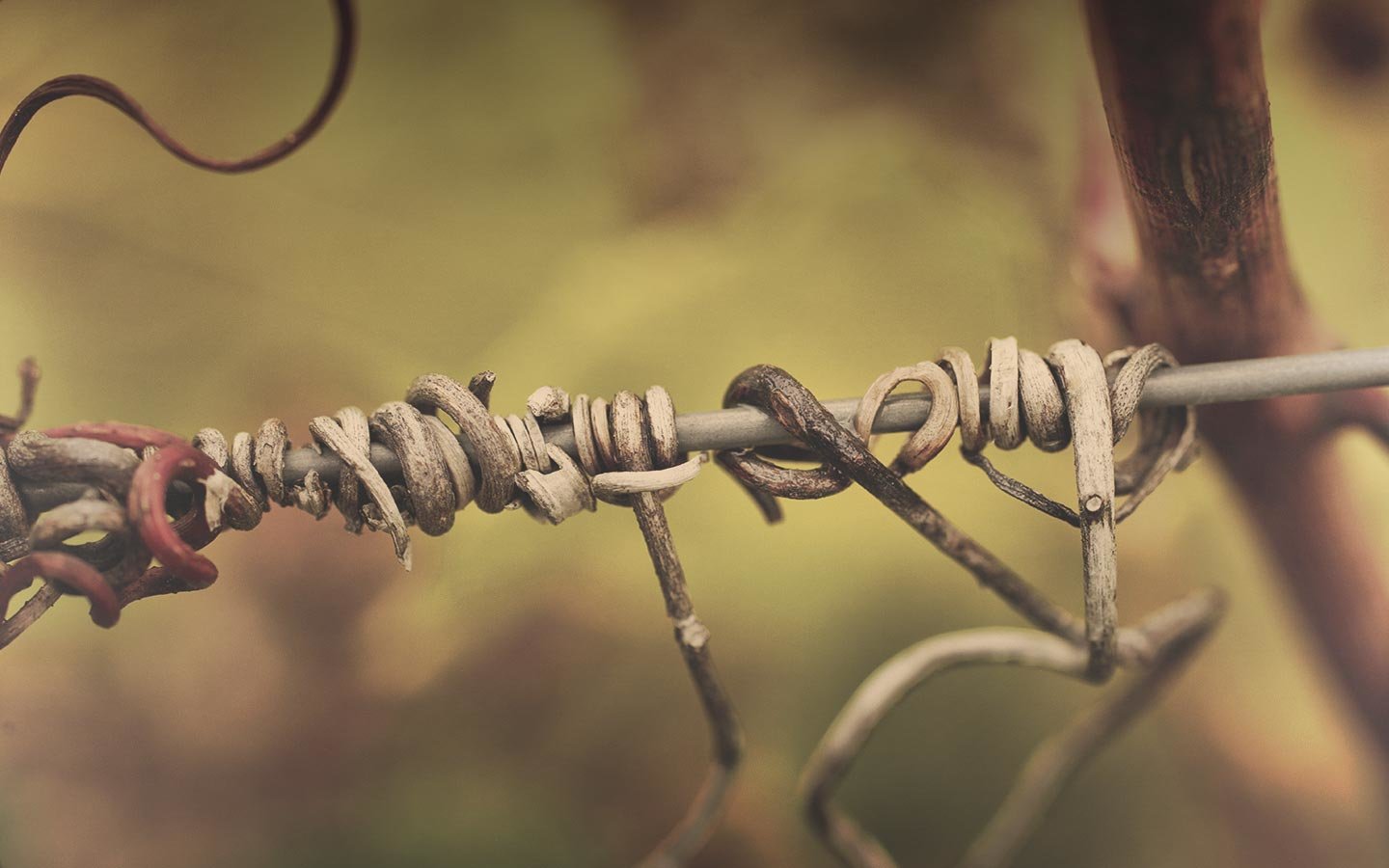 Contact